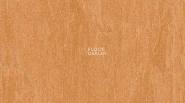 Линолеум Classic Imperial 2mm 0018 TERRA фото 1 | FLOORDEALER